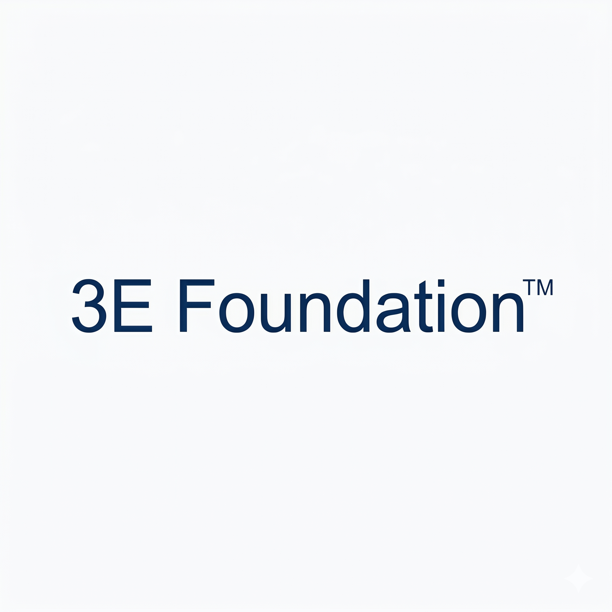 3E Foundation